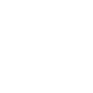 Geoline, is one of our company's top clients, we provided best IT services for them.